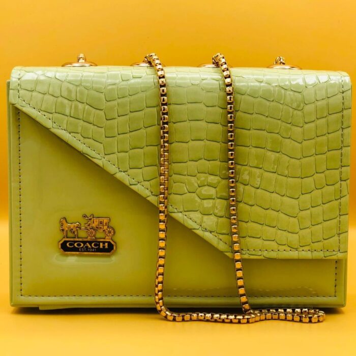 SN BIG COACH - Image 2